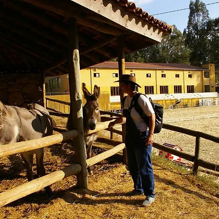Casa Do Boco